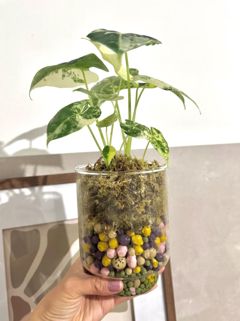 600g bunter Blähton