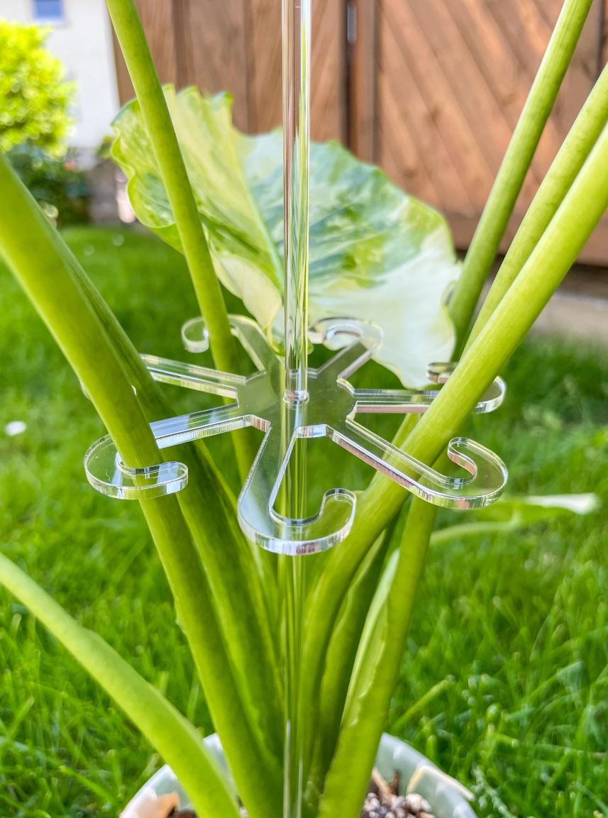 Halterung für Pflanzen