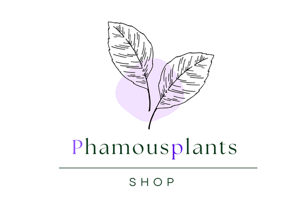 Phamousplants Shop
