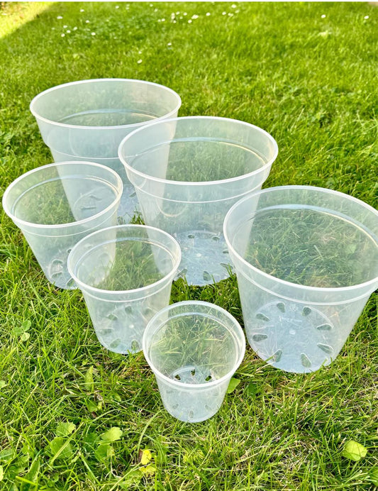 Runde, transparente Pflanzentöpfe| Blumentopf