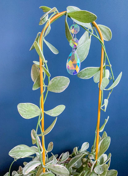 Kletterbogen für Pflanzen in Gold