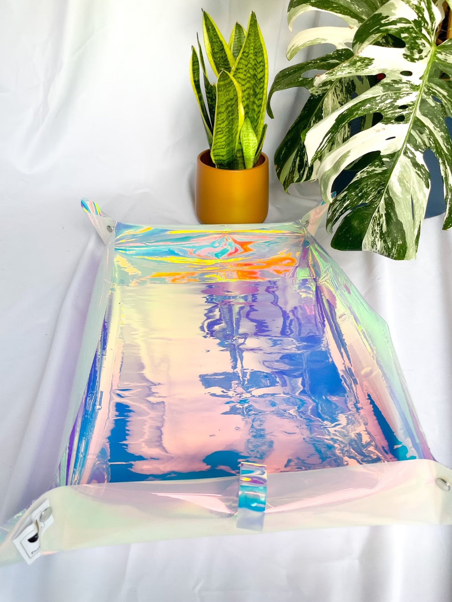 Holografische Umtopfmatte für Pflanzen