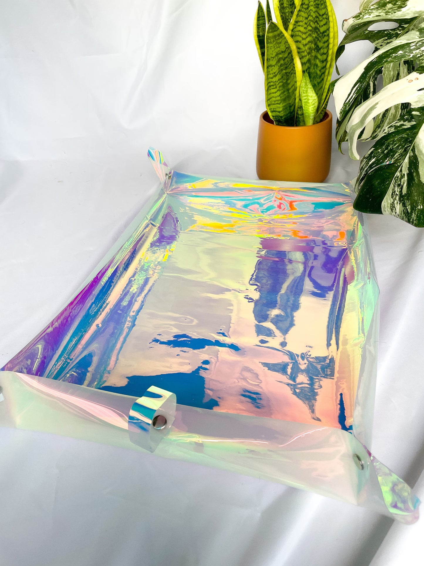 Holografische Umtopfmatte für Pflanzen