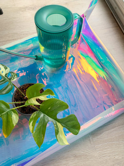 Holografische Umtopfmatte für Pflanzen