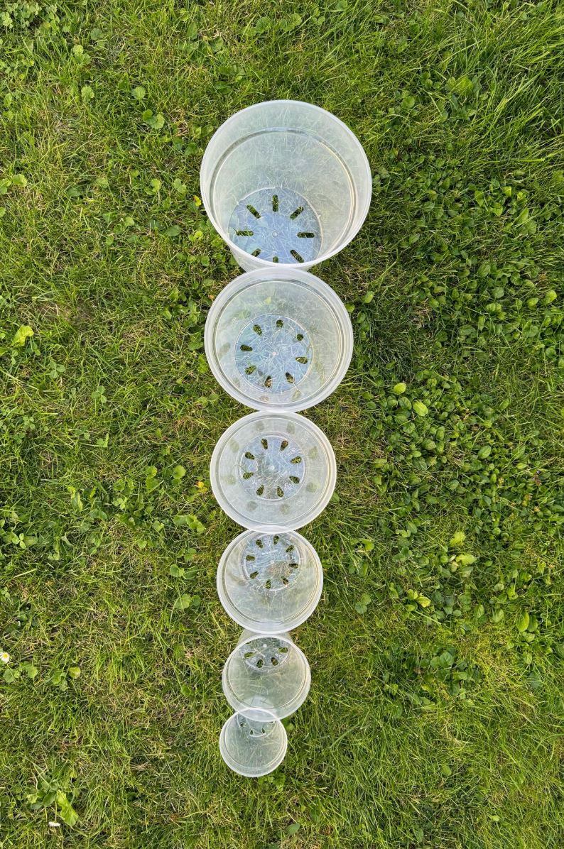 Runde, transparente Pflanzentöpfe| Blumentopf