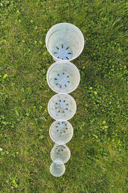 Runde, transparente Pflanzentöpfe| Blumentopf